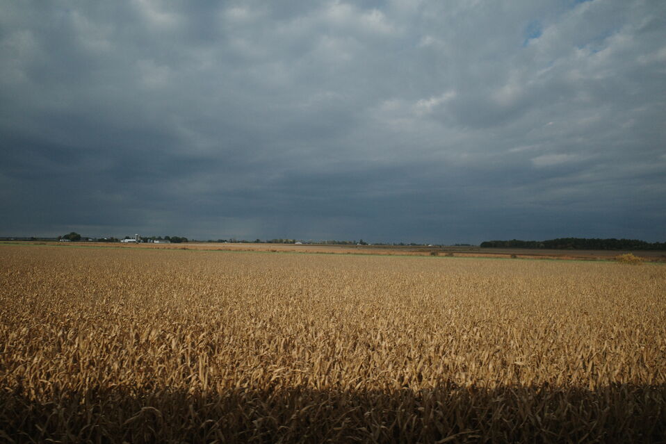 logicwrap.com tain to Ottawa - Ontario - Canada